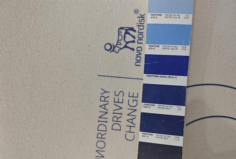 诺和诺德2600个定制帆布袋-06